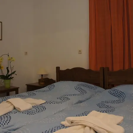 Πανσιόν Thea Πάχαινα